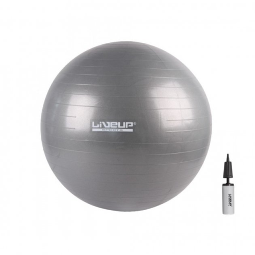 Купить Фитбол  LiveUP ANTI-BURST BALL серый 75см LS3222-75g в Киеве - фото №1